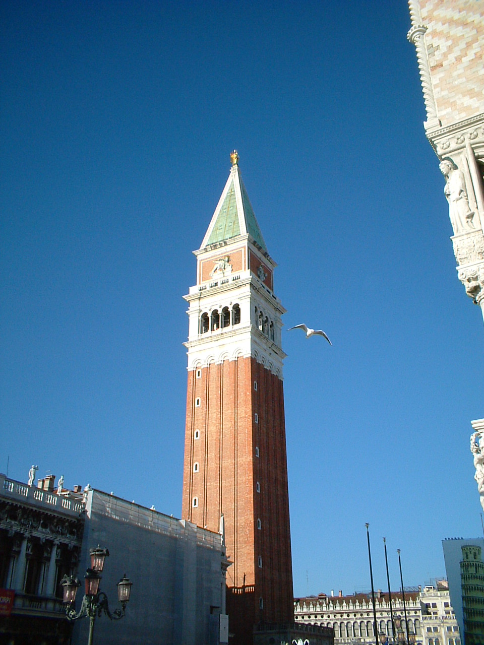 La “Vampira di Venezia”: Una Analisi&nbsp;Antropologica