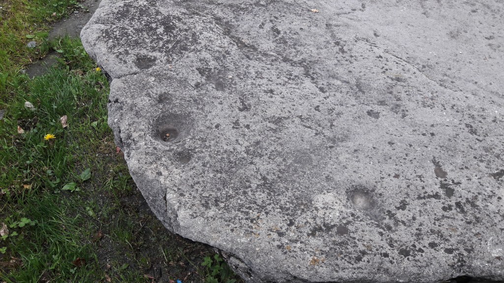 Culti e Luoghi delle Rocce Coppellate tra le Alpi&nbsp;Piemontesi