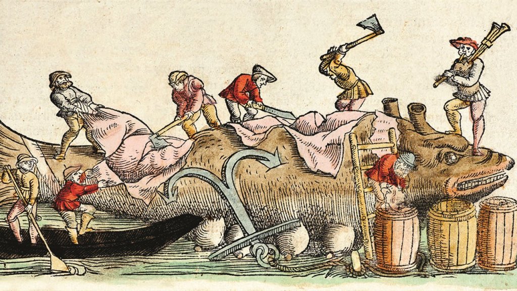 Criptozoologia Marina: Il mostro-isola e il Kraken (PARTE&nbsp;I)