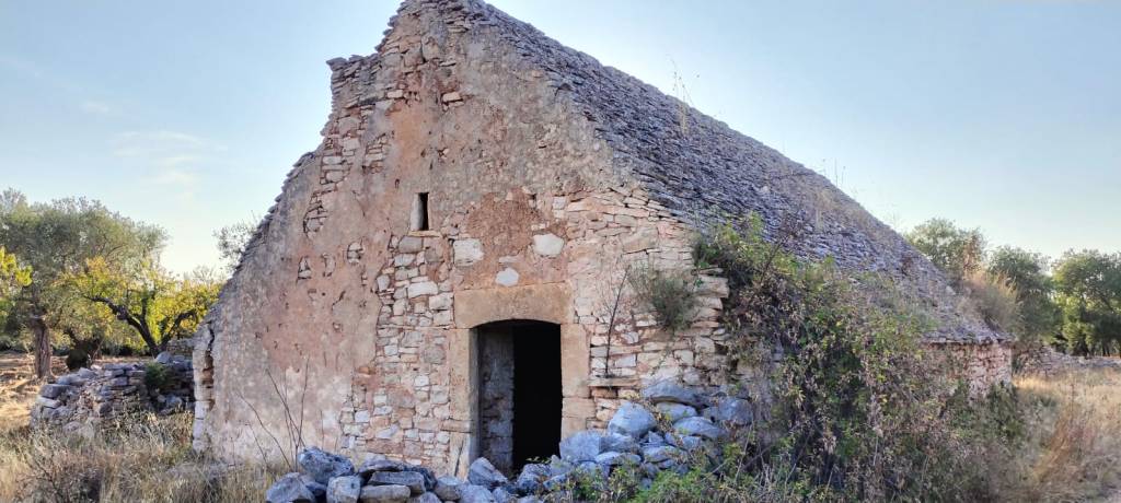 Sussurri di Pietra: i Segreti dei Lamioni dell’Alta&nbsp;Murgia